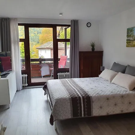 Gemütliche Ferienwohnung am Kurpark in Bad Herrenalb Exterior foto