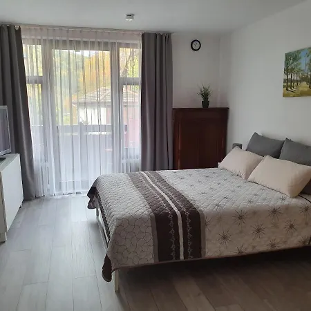 Gemütliche Ferienwohnung am Kurpark in Bad Herrenalb Exterior foto