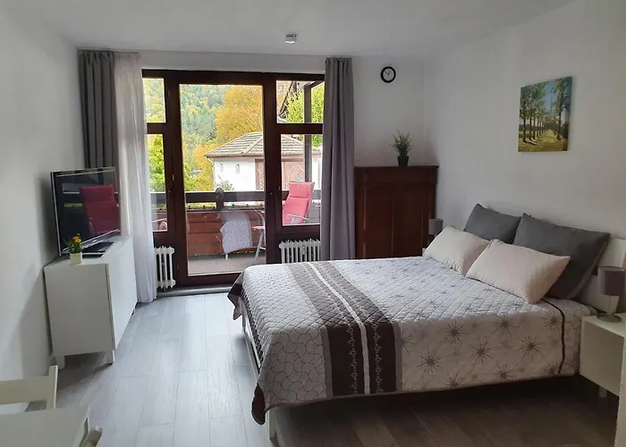 Gemuetliche Ferienwohnung Am Kurpark In Bad Herrenalb