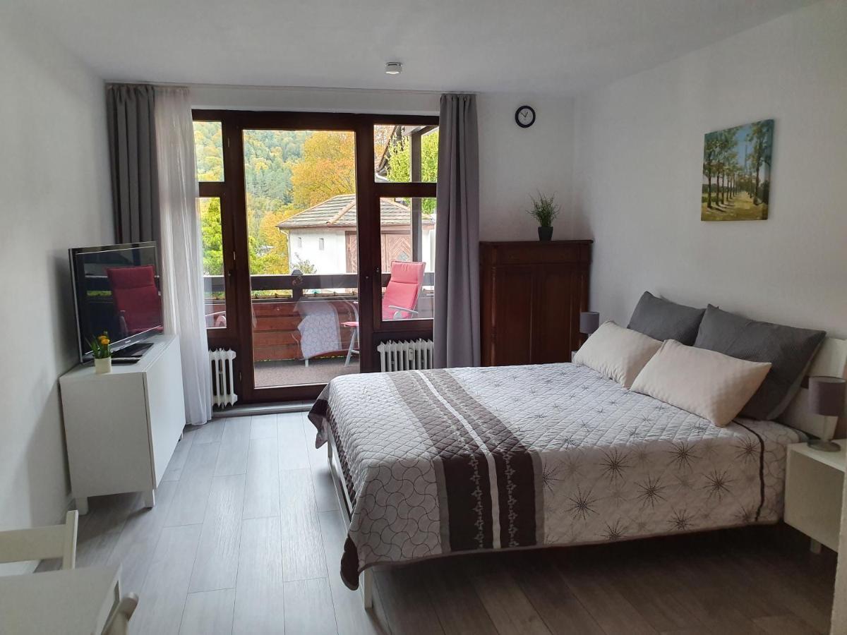 Apartment Gemuetliche Am Kurpark In *