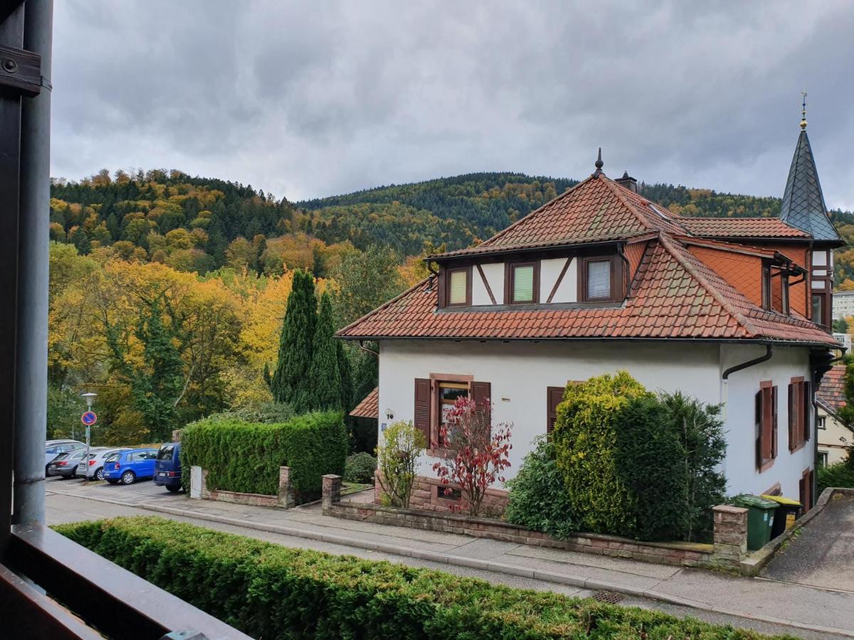 Apartment Gemuetliche Am Kurpark In Bad Herrenalb
